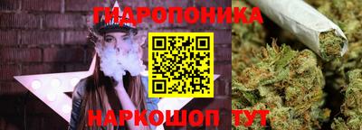 шишки Белореченск